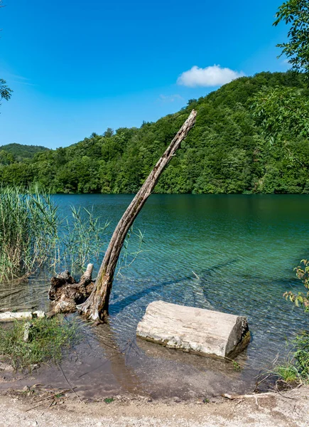 Plitvice Lakes Ulusal Parkı Hırvatistan 'ın en eski ve en büyük ulusal parklarından biri. Bu fotoğraf Temmuz 2023 'te çekildi..