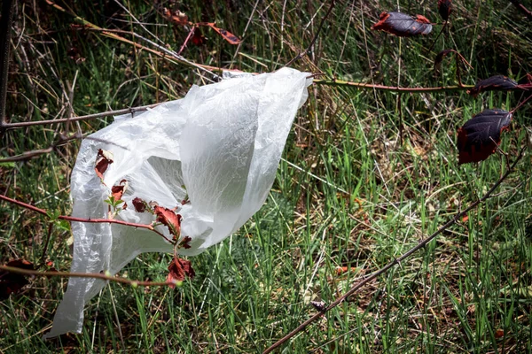 stock image Thrown a cellophane bag on the grass. The concept of environmental pollution with garbage and household waste disposal.