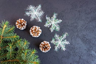 Beton zemin üzerinde kar taneleri ve kozalaklı Firavun dalları. Bayram afişi, kartpostal, davetiye. Yeni yıl ve Noel konsepti. Kopyalama alanı.