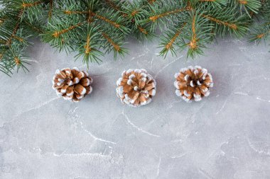 Beton kaplamalı ladin dalları. Tatil kartpostalı, davetiye. Yeni yıl ve Noel kavramı. Kopyalama alanı.