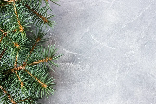 콘크리트 배경에 나뭇가지가 있습니다 홀리데이 초대장 새해와 크리스마스의 컨셉이야 스톡 이미지