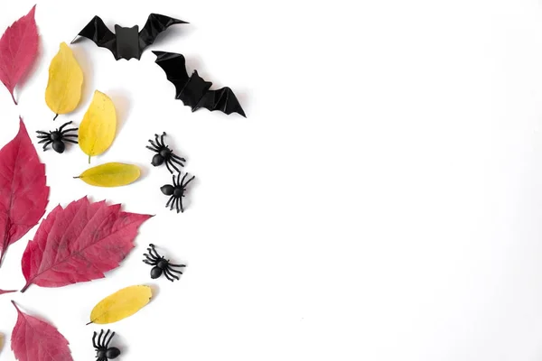 Halloween Vakantie Vlak Een Witte Achtergrond Herfst Bladeren Vleermuizen Spinnen — Stockfoto