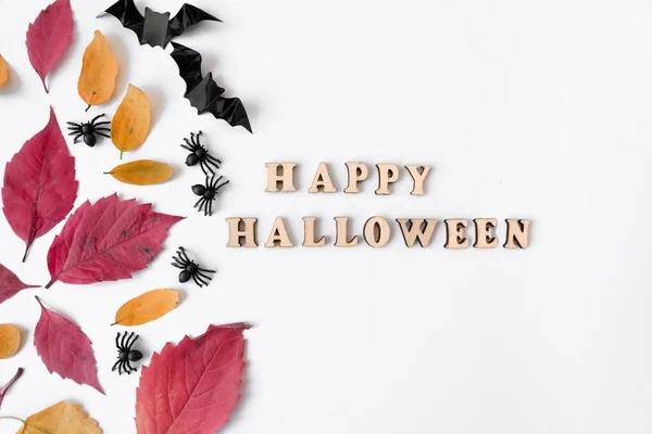 Boldog Halloweent Felirat Fehér Alapon Pókokkal Denevérekkel Őszi Levelekkel — Stock Fotó