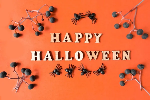 Happy Halloween Inschrift Auf Orangefarbenem Hintergrund Mit Spinnen Und Beerenzweigen — Stockfoto
