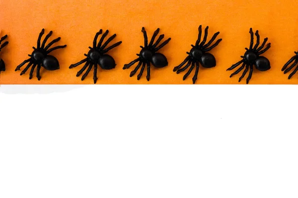 Święta Halloween Płasko Pomarańczowo Białym Tle Przestrzeń Kopiowania Pająki Rzędzie — Zdjęcie stockowe
