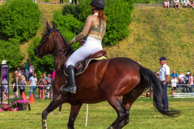 Binicilik Şampiyonası 'nda, bir binici at sürüyor, Grudziadz, Polonya - 18 Haziran 2023.