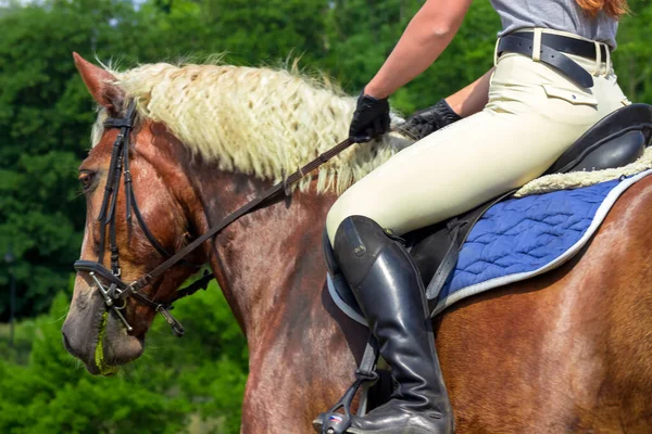 Női Zsoké Bay Horse Közelkép Grudziadz Lengyelország Június 2023 — Stock Fotó