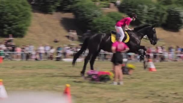 Een Ruiter Een Zwart Paard Springt Hindernissen Een Ruiterwedstrijd Grudziadz — Stockvideo