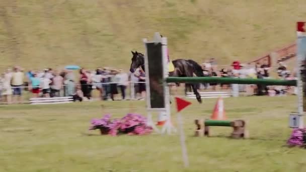 Eine Reiterin Galoppiert Auf Einem Pferd Und Springt Über Eine — Stockvideo