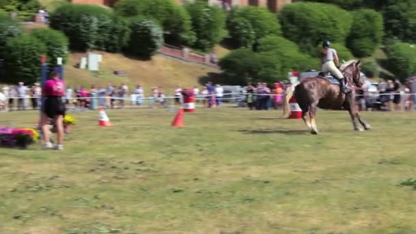 Een Vrouwelijke Jockey Racet Met Een Hordenspringpaard Riding Championships Grudziadz — Stockvideo