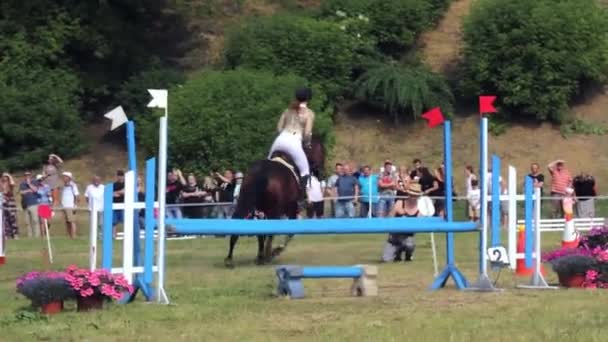 Eine Reiterin Auf Einem Braunen Pferd Springt Über Barrieren Grudziadz — Stockvideo