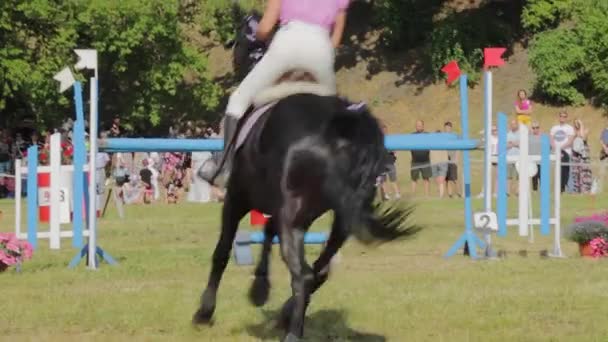Ein Pferd Mit Reiter Springt Bei Einem Reitturnier Grudziadz Polen — Stockvideo