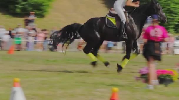 Jockeyspielerin Galoppiert Auf Einem Schwarzen Pferd Bei Einem Reitturnier Grudziadz — Stockvideo