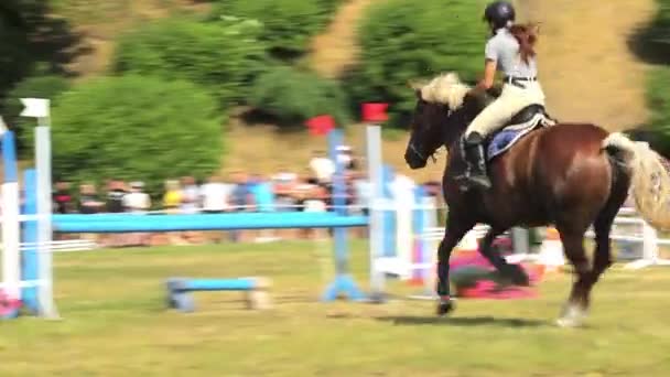 Młody Jeździec Galopuje Koniu Skacząc Przez Przeszkody Zawodach Jeździeckich Grudziądzz — Wideo stockowe