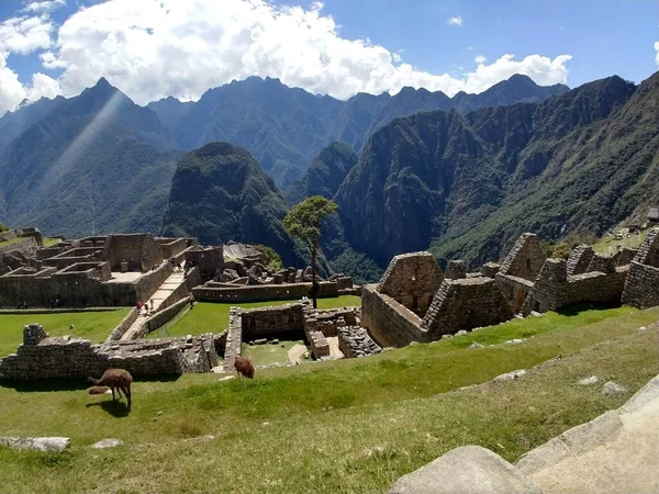 Machu Picchu Les Ruines Ville Inca Grande Sacrée — Photo