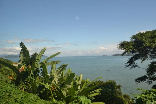 Вид Пляж Море Банановыми Листьями Бразилии — стоковое фото