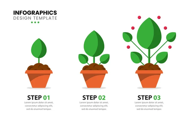 包含3种植物的信息图形模板 可用于工作流布局 网页设计 矢量说明 — 图库矢量图片