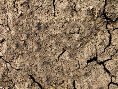 Kumlu Toprak ve Çamur Lastik İzleri: Off-Road ve Açık Hava Tasarımları için Maceralı Arkaplan