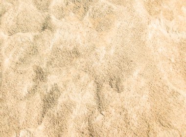 Zengin ve Çeşitli Toprak Dokusu: Tarım, Bahçe ve Çevre Konseptleri için Çok Yönlü Arkaplan 