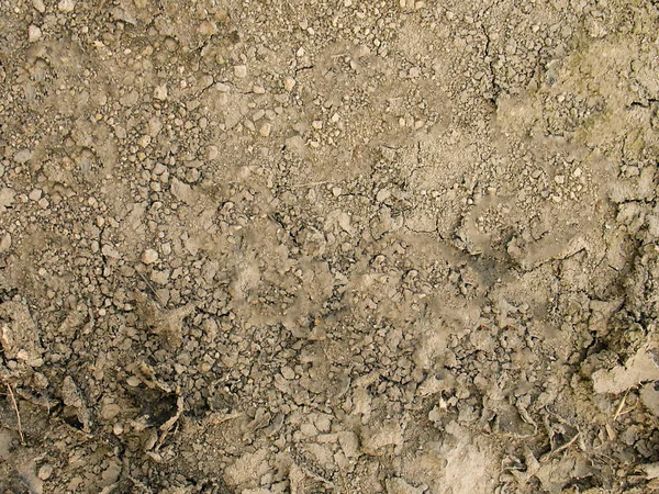 Ekscytujące Utwory Dirt Mud Tire Tracks Gritty Background Roading Adventure — Zdjęcie stockowe