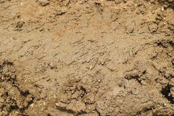 Izgalmas Dirt Mud Tire Tracks Gritty Background Roading Adventure Designs — Stock Fotó