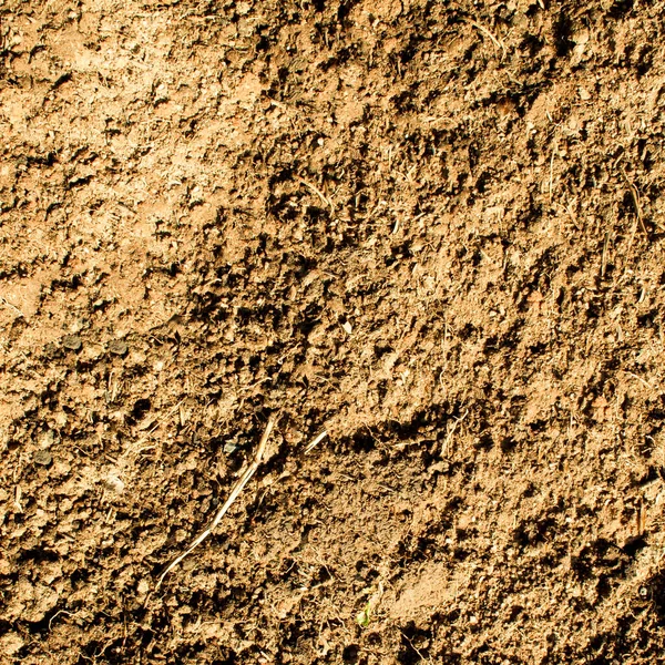 Captivating Soil Texture Background Earthy Elements Agriculture Gardening Natural Environment — Stock Photo, Image