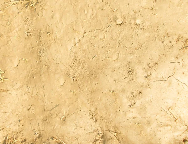 Текстура Ґрунтів Під Назвою Versatile Soil Texture Earthy Background Agriculture — стокове фото