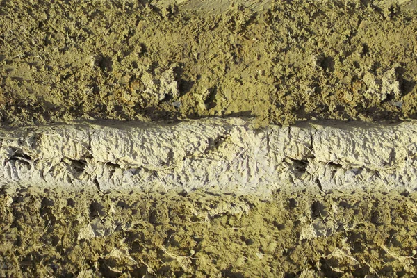Starzejące Się Drzewo Kora Tekstura Tło Rustykalny Urok Dla Inspirowanych — Zdjęcie stockowe