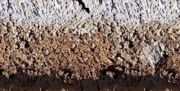 Lichen Texture Closeup Rock Nature Artistry Intricate Detail Působivé Pozadí — Stock fotografie