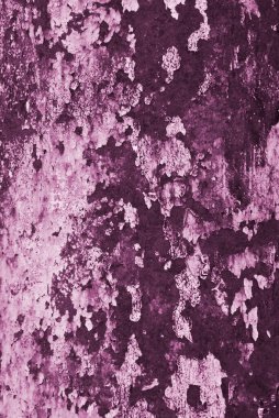 Boya Soyma Dokuları: Kırsal Yüzeylerin Eskimiş Güzelliğine Girin 