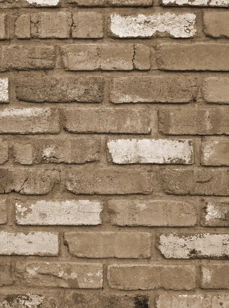 Bricks Wall Celebrating Classic Aesthetics Traditional Masonry — Stock Photo, Image