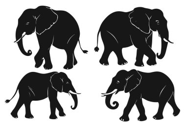 Fil silueti koleksiyonu. Siyah fil silueti seti. Fil silueti ayarlandı.