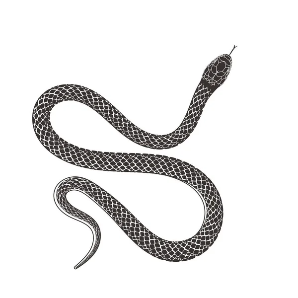 Serpente Preta Isolada Serpente Silhueta Ilustração Vetor Tatuagem Design — Vetor de Stock