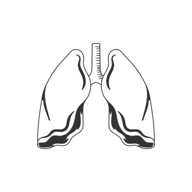 İç Organ Sağlık İkona Vektörü İçin Ayrı İnsan Akciğeri