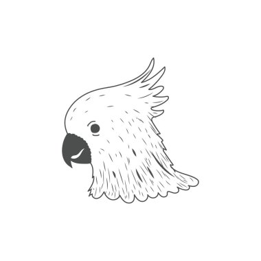 Manually Hand Drawn cockatoo or Parakeet Bird Head Illustration Vector