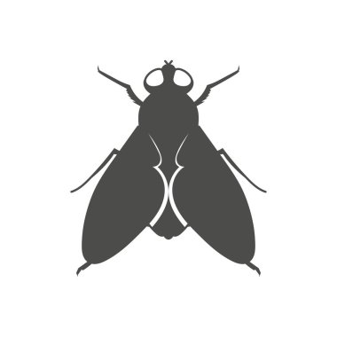 Isolated Fly Insect for Insecticidal or Animal Knowledge Illustration Design Vector