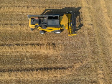 Coljinsplaat yakınlarındaki mısır tarlasında park etmiş hasatçıyı birleştirin. Hollanda 'da Zeeland Provinz' i