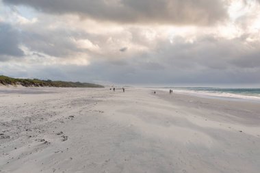Kamperland yakınlarındaki Banjaard Sahili manzaralı bir manzara. Kamperland, Hollanda 'nın Zeeland eyaletinde yer alan bir şehirdir.