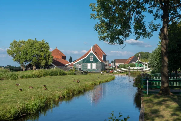 ザーンサムのザーンセ スカンス野外博物館の農村風景 オランダの北ホラント州 — ストック写真