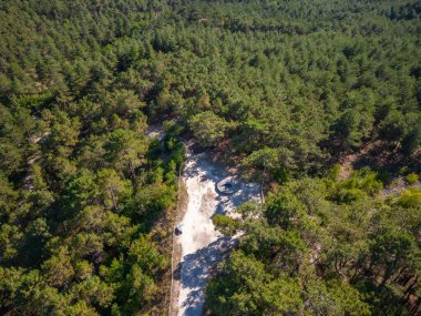Okul yakınlarındaki Schoorlser kumulları doğa rezervindeki tur rotasının görüş açısına bakan hava manzarası. Hollanda 'nın Kuzey Hollanda Eyaleti