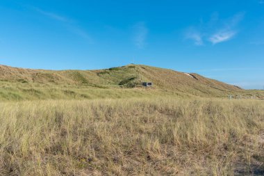 Schoorl-Camperduin plajındaki kum manzarası. Hollanda 'nın Kuzey Hollanda Eyaleti
