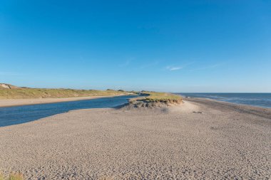 Schoorl-Camperduin plajındaki göl manzarası. Hollanda 'nın Kuzey Hollanda Eyaleti