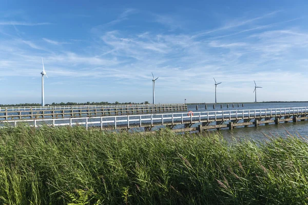 Parque Eólico Krabbersgat Enkhuizen Província Holanda Norte Nos Países Baixos — Fotografia de Stock