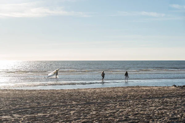 Stock image Beach of Schoorl - Camperduin. Province of North Holland in the Netherlands