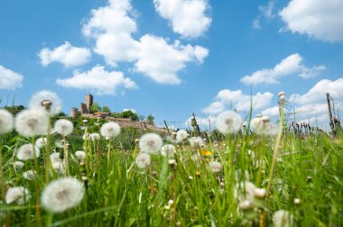 Wachtenburg kalesinin Wachenheim 'daki harabelerinin manzarası. Almanya 'da federal Rhineland-Palatinate eyaletinde Palatinate Bölgesi
