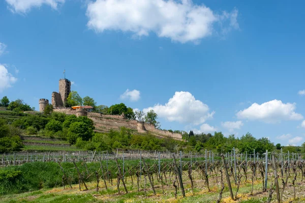 View Wachtenburg Castle Ruins Wachenheim Region Palatinate Federal State Rhineland — Stock Photo, Image