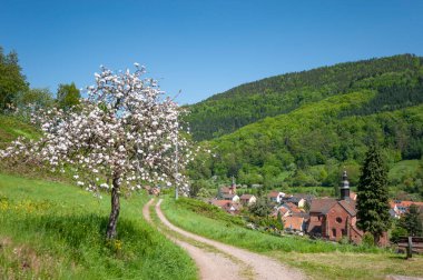 Derebeyi Ormanı Doğa Parkı 'ndaki manzara ve eski manastır kilisesi olan Eusserthal köyü. Almanya 'da federal Rhineland-Palatinate eyaletinde Palatinate Bölgesi
