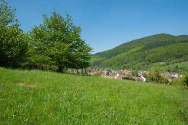 Derebeyi Ormanı Doğa Parkı 'ndaki manzara ve eski manastır kilisesi olan Eusserthal köyü. Almanya 'da federal Rhineland-Palatinate eyaletinde Palatinate Bölgesi