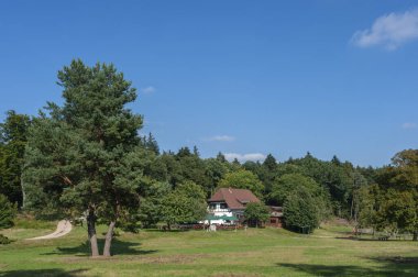 Annweiler, Almanya - 27 Ağustos 2021: Annweiler ormanlarının Annweiler am Trifels yakınlarındaki evinin görüntüsü. Almanya 'da federal Rhineland-Palatinate eyaletinde Palatinate Bölgesi