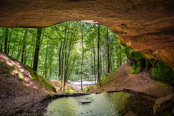Naturdenkmal Untere Bärenhöhle Rodalber Felsenwanderweg Rodalben Region Rheinland Pfalz Deutschland — Stockfoto